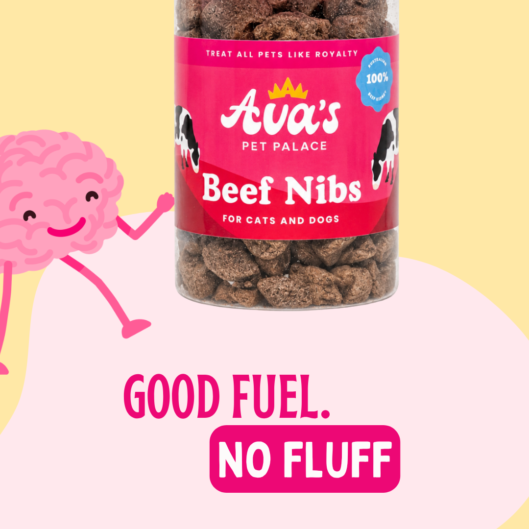 Freeze Dried Beef Kidney - Beef Nibs