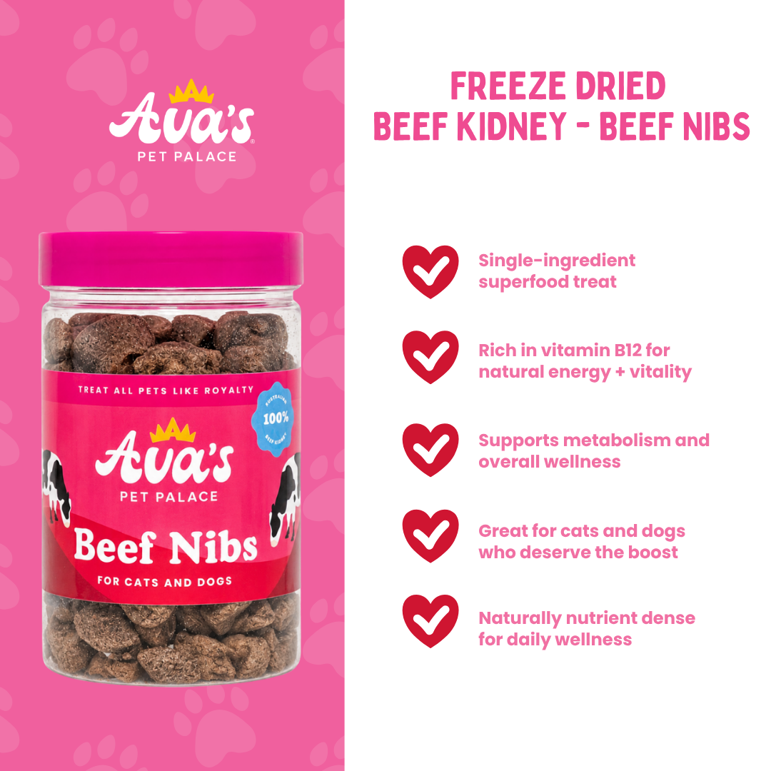 Freeze Dried Beef Kidney - Beef Nibs