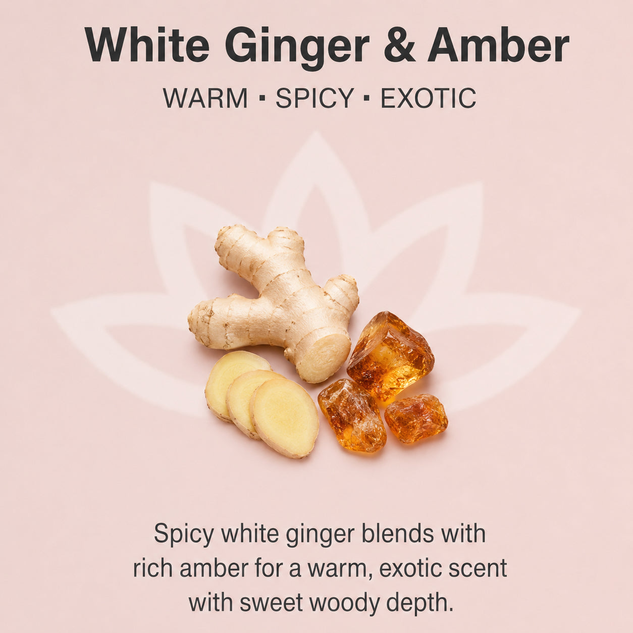 Glimmer Goddess Organic Whipped Body Butter