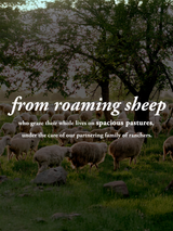 Jumbo Wool Dryer Balls ( 3 pack )