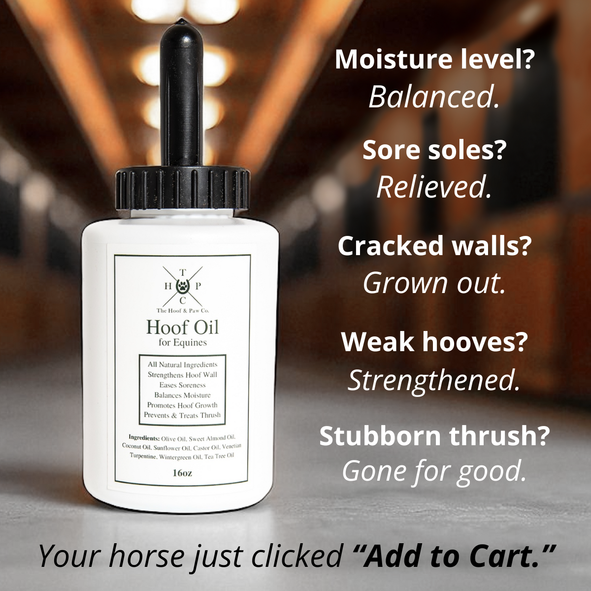 Hoof Oil for Horses - 16oz