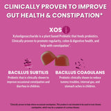 Adult Prebiotic & Probiotic Gummies, Mixed Berry (120 ct)