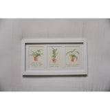 Small Plant Posters - 3 Pack