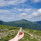 All Purpose Salve, Multipurpose Herbal Salve with Tea Tree