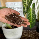 All-Purpose Soil Mix