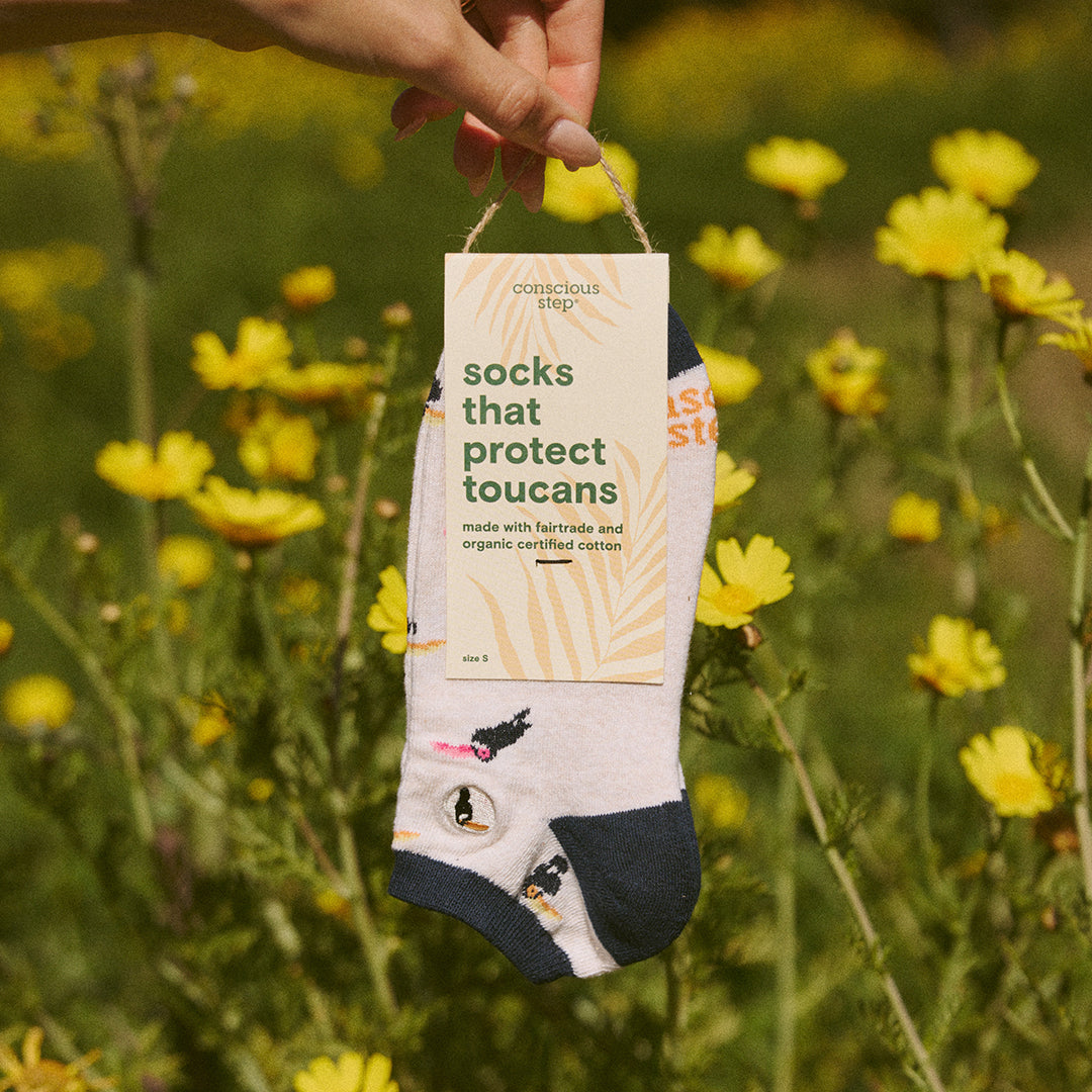 Socks that Protect Toucans