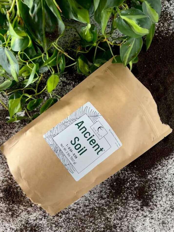 Ancient Soil: Organic Living Soil
