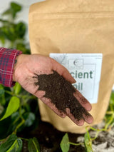 Ancient Soil: Organic Living Soil