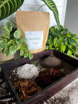 Ancient Soil: Organic Living Soil