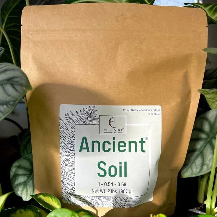 Ancient Soil: Organic Living Soil