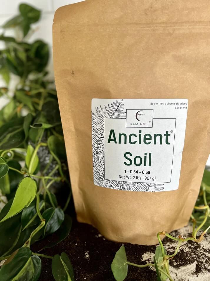 Ancient Soil: Organic Living Soil