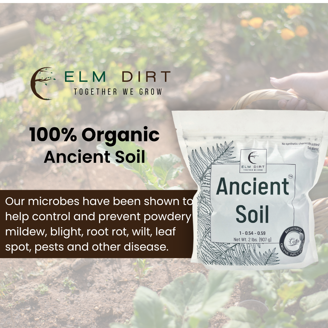 Ancient Soil: Organic Living Soil