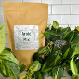 Premium Aroid Mix For Tropical Plants