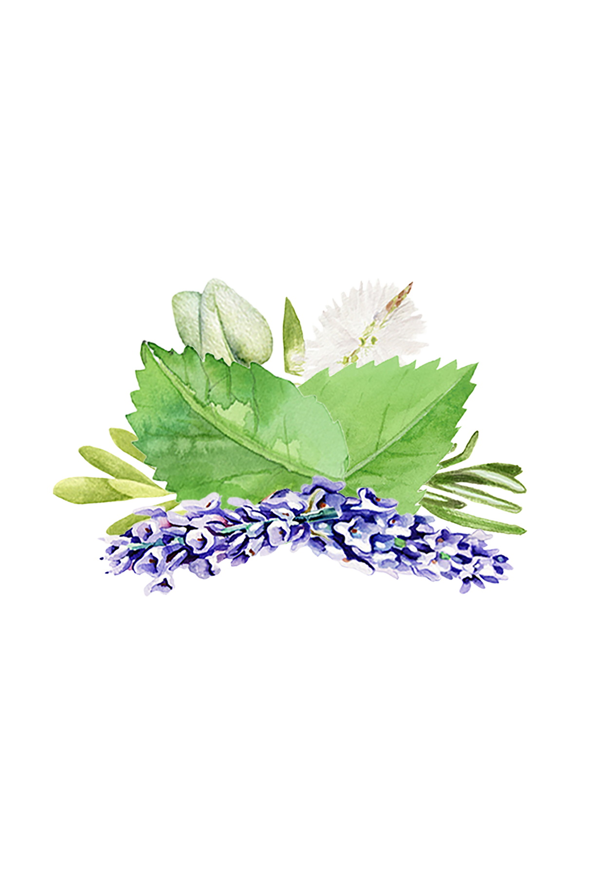 Aromatherapy Blend of Essential Oil