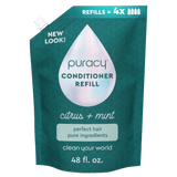 Conditioner (Silicone/Dimethicone/Sulfate Free)
