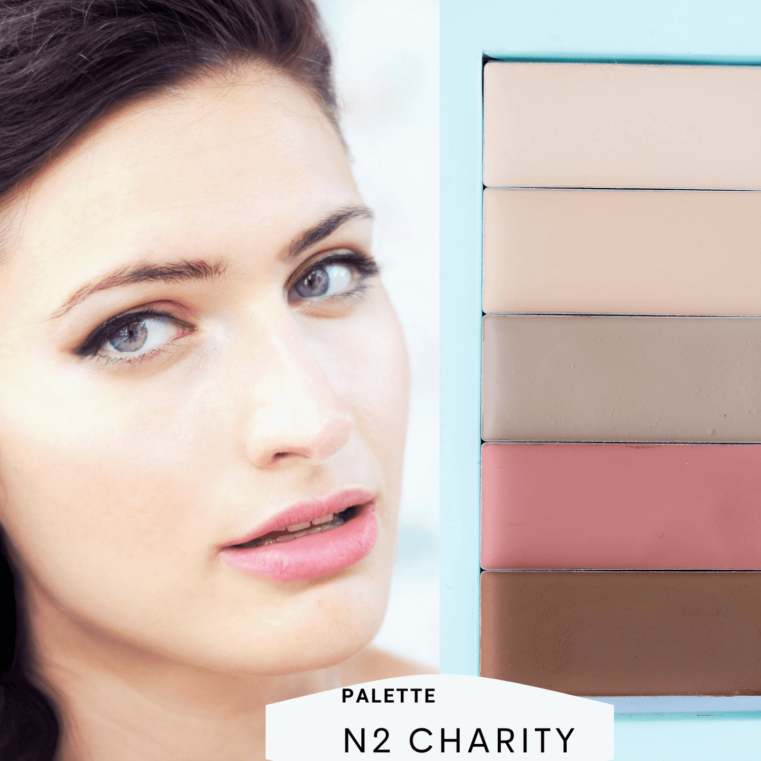Basic Bundle - Filled Palette + Blender