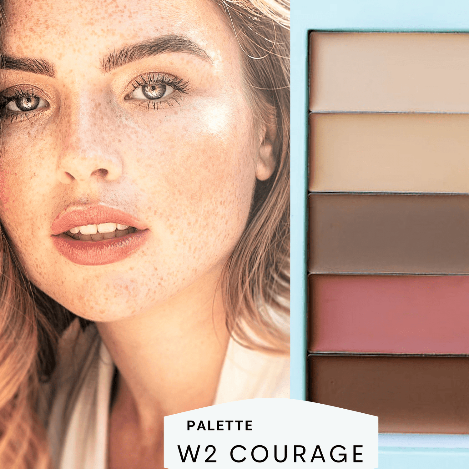 Basic Bundle - Filled Palette + Blender