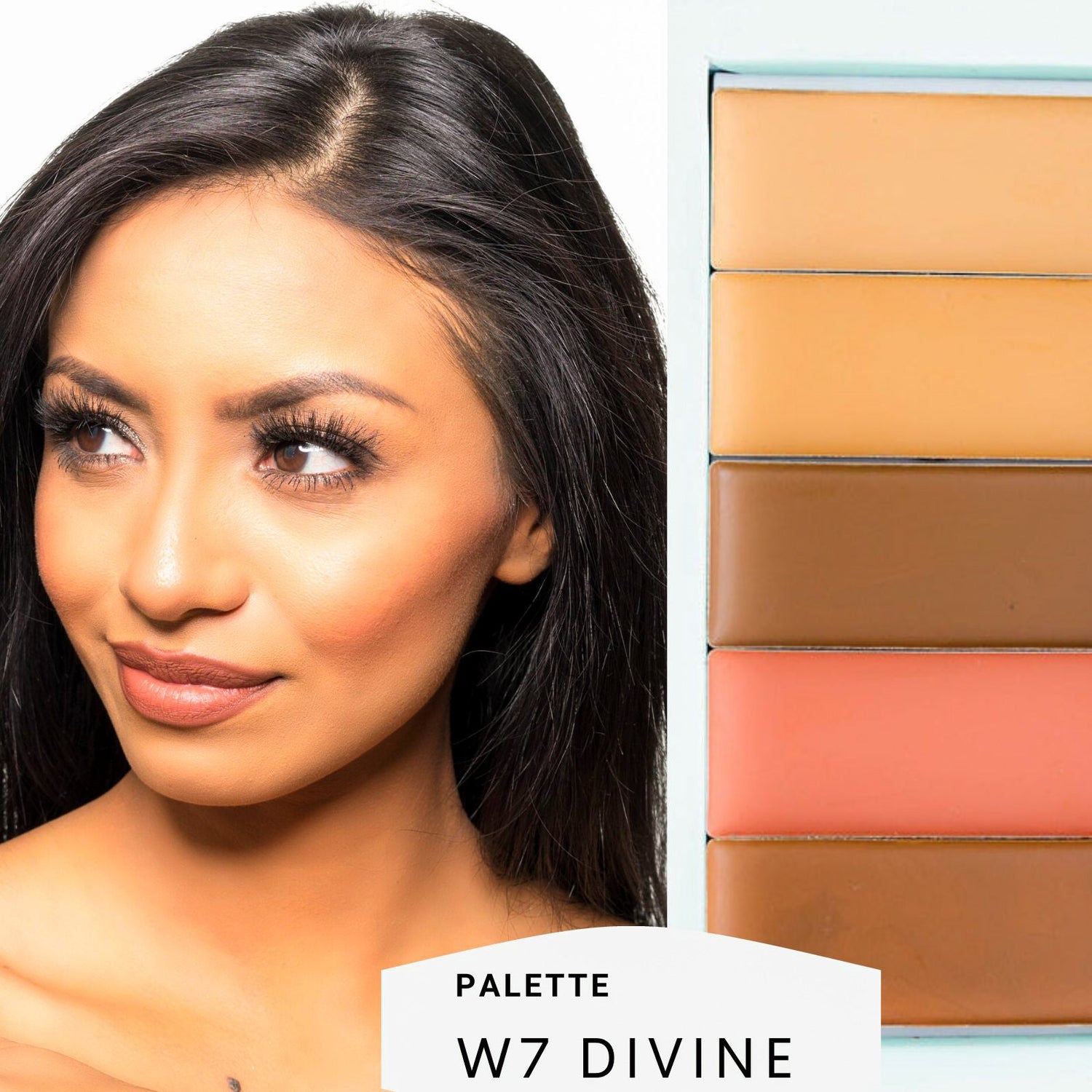 Basic Bundle - Filled Palette + Blender