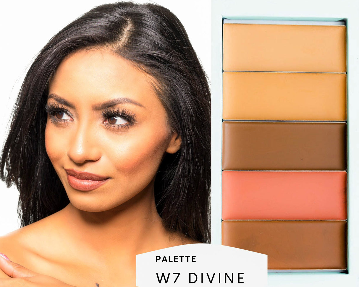 Basic Bundle - Filled Palette + Blender
