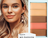 Basic Bundle - Filled Palette + Blender