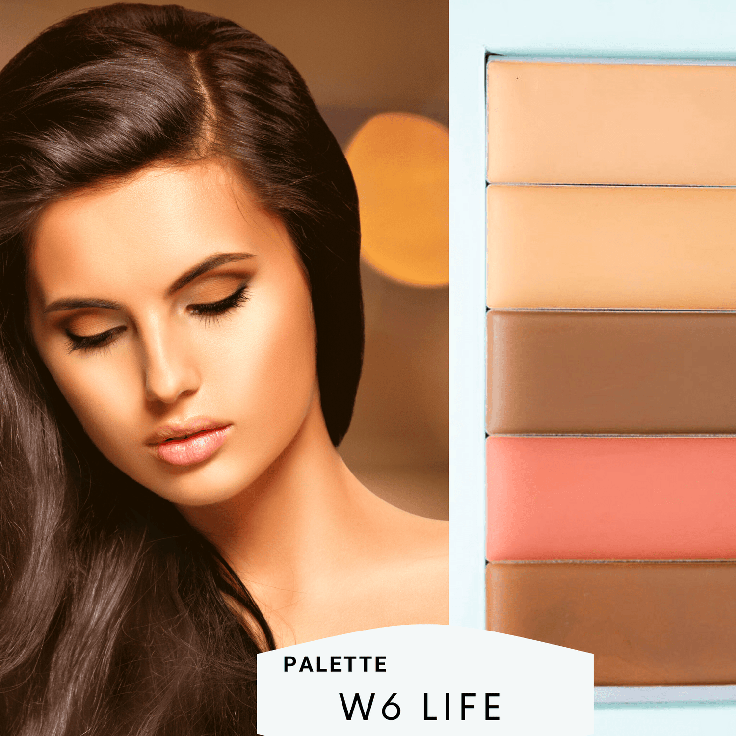 Basic Bundle - Filled Palette + Blender
