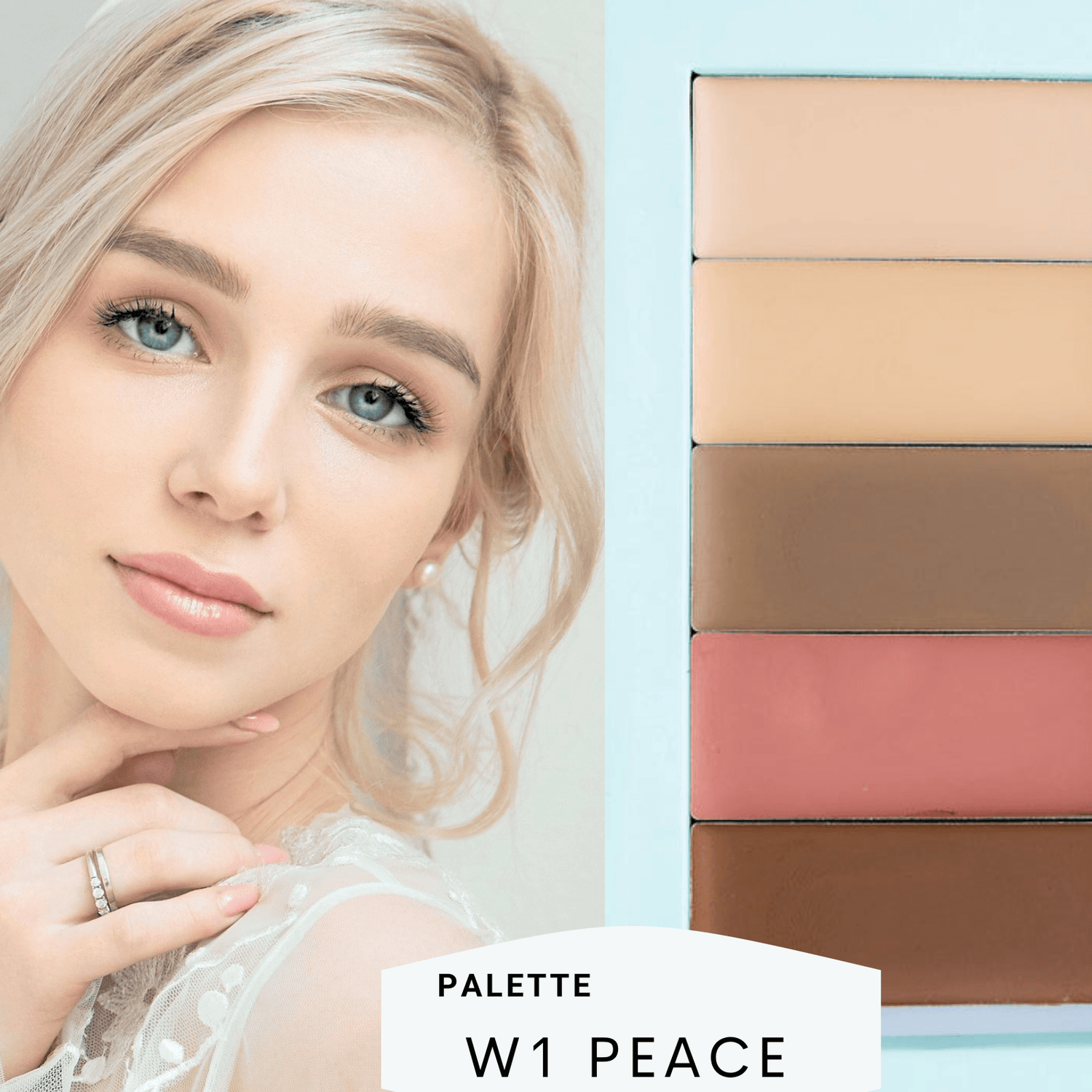 Basic Bundle - Filled Palette + Blender