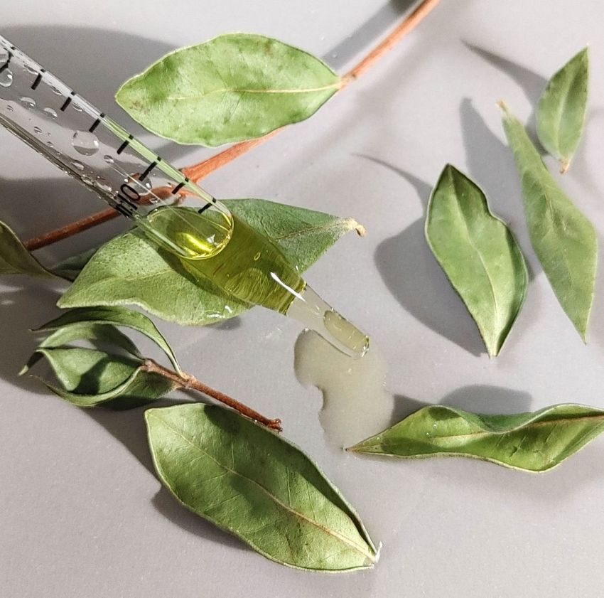 "Basics" Face Oil