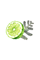 Bergamot & Cypress Essential Oil Blend