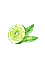 Bergamot Essential Oil