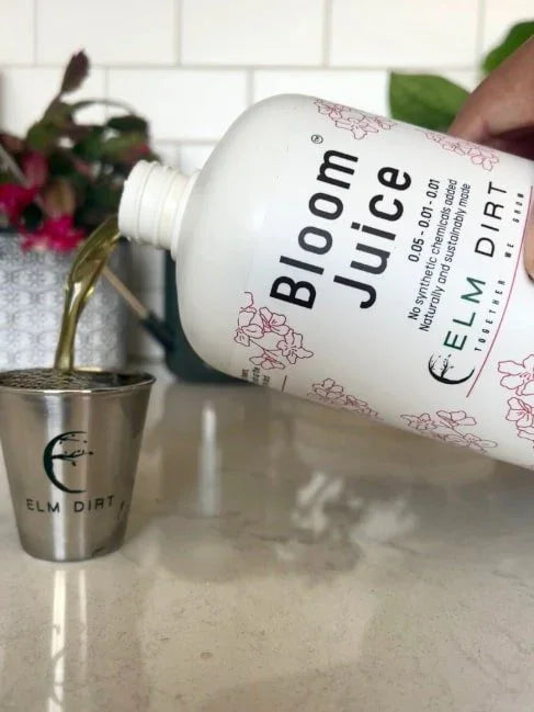 Bloom Juice - Award-Winning Formula