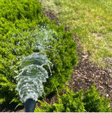 Bloom Juice - Award-Winning Formula