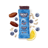 Skout Organic Blueberry Blast Kids Bar