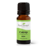 Catnip Essential Oil