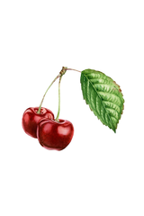 Cherry (Bitter Almond) Essential Oil