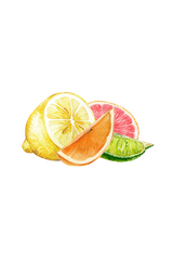 Lemon, Orange, Grapefruit & Lime Essential Oil Blend