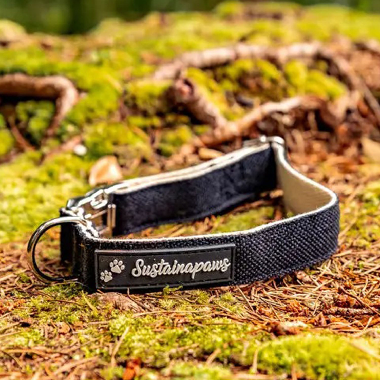 Hemp & Organic Cotton Eco Dog Collar - Medium