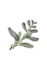 Cypress Essential Oil