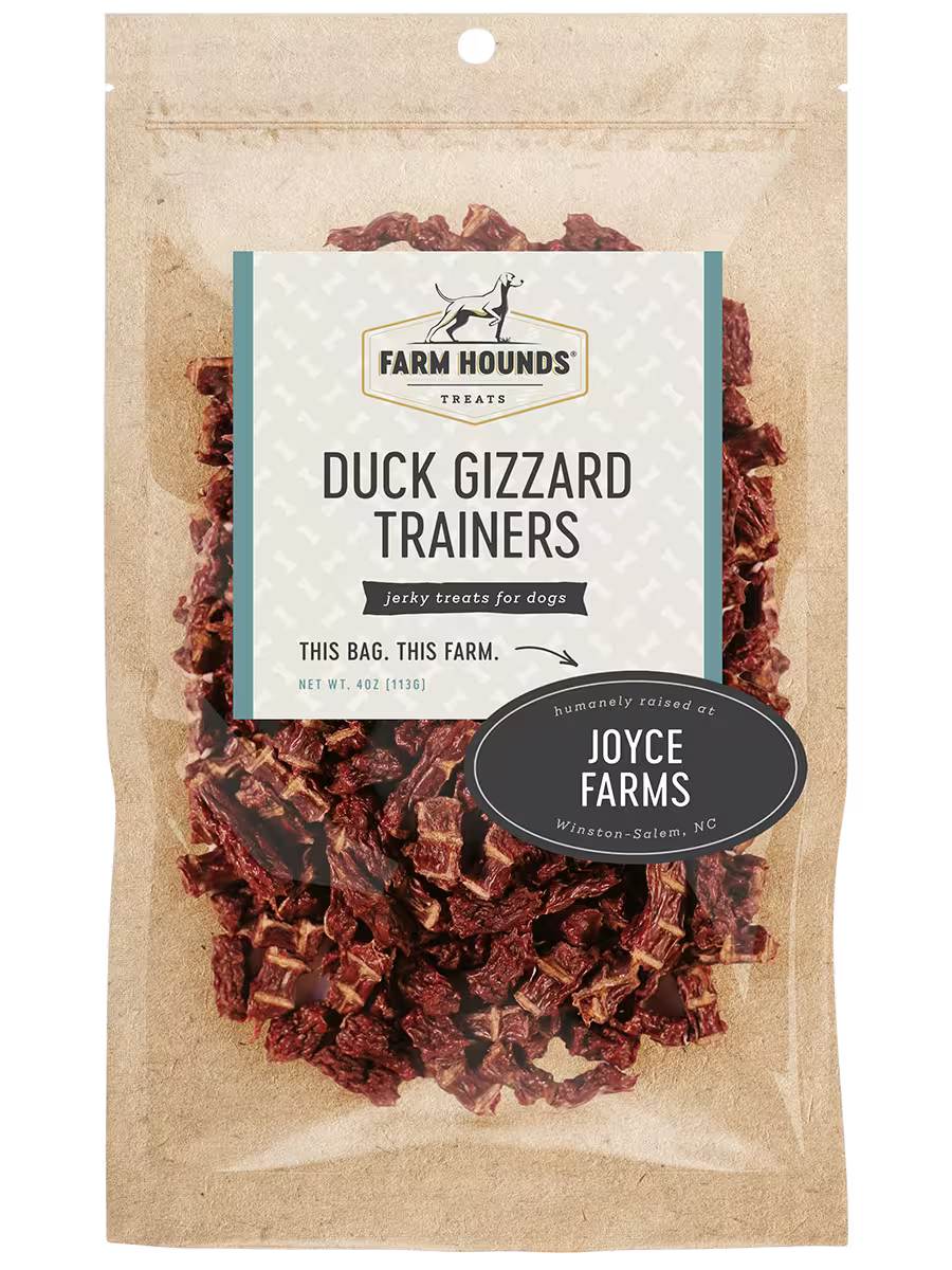 Duck Gizzard Trainers