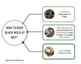 Set of 5 Sisal Bottle Brushes