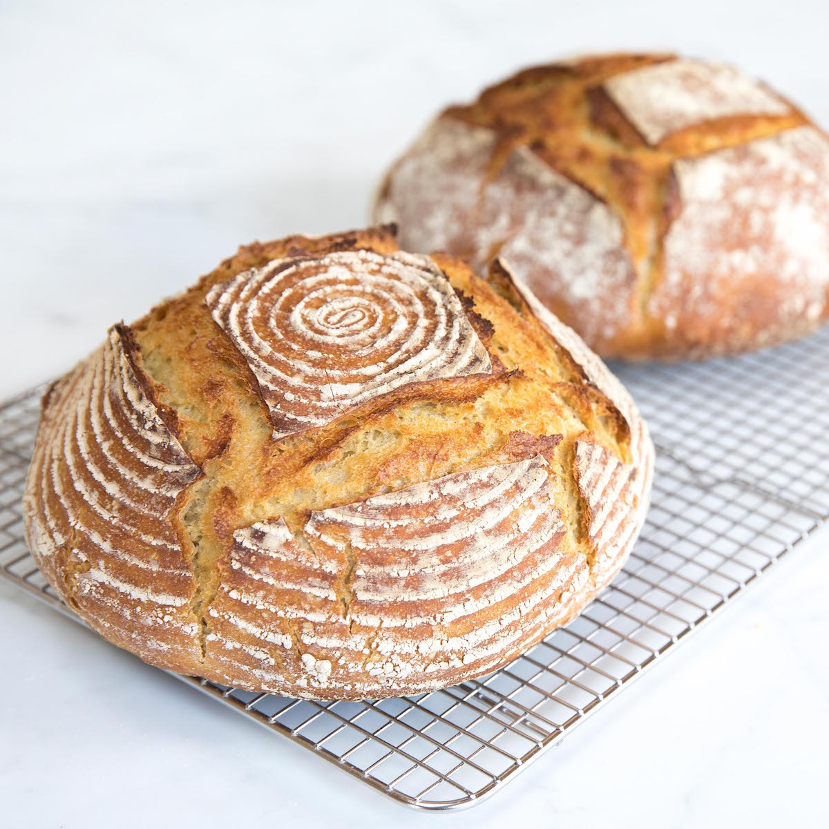 Organic Einkorn All-Purpose Flour 10 lb.