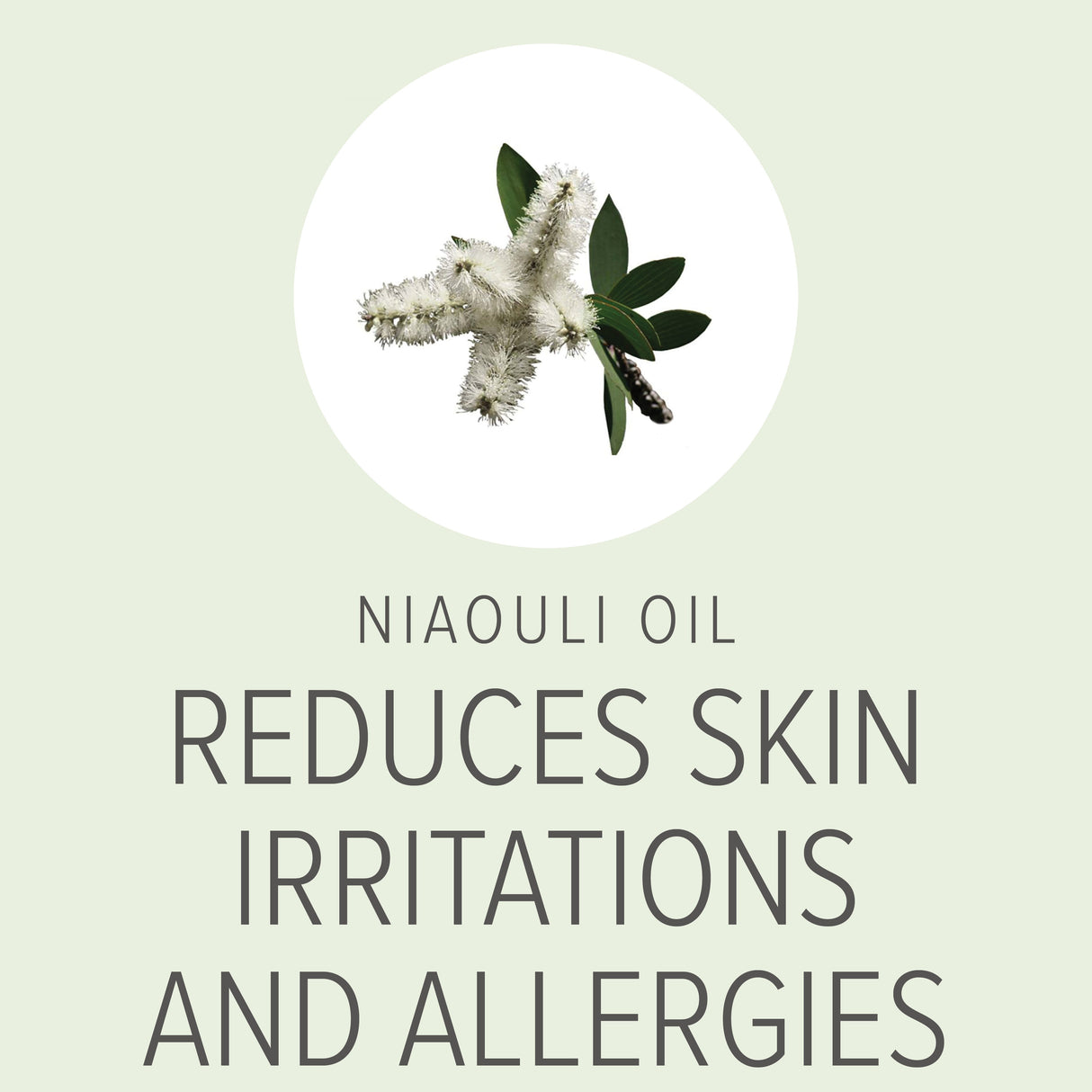 Itch Relief Organic Shampoo