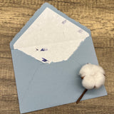 Cornflower Petal Cotton Paper Envelope Liners – Set of 10