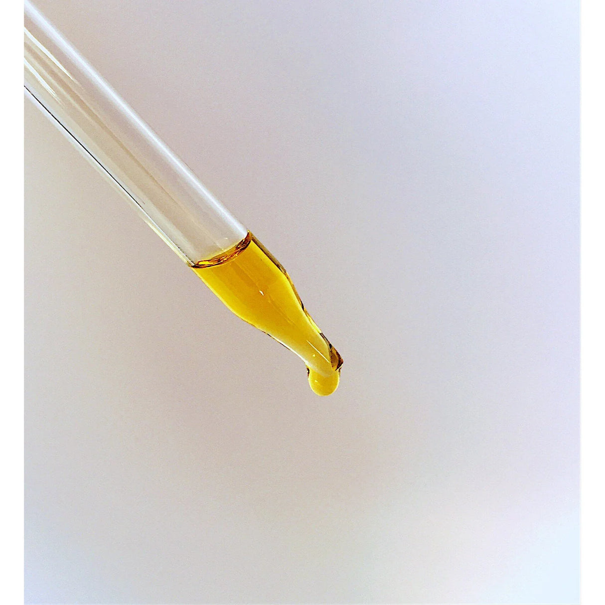 Organic Face & Eye Serum / Organic Facial Oil / Anti-Aging Serum / Organic Facial Serum / Natural Face Oil Butter Me Up Organics /