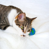 Paws For The Planet - Set of 3