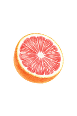 Pink Grapefruit Essential Oil