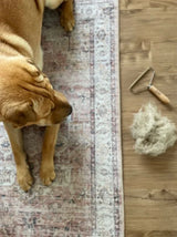 Lint Remover - Reusable