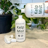 Kelp Mist - Organic Foliar Spray Seaweed Fertilizer