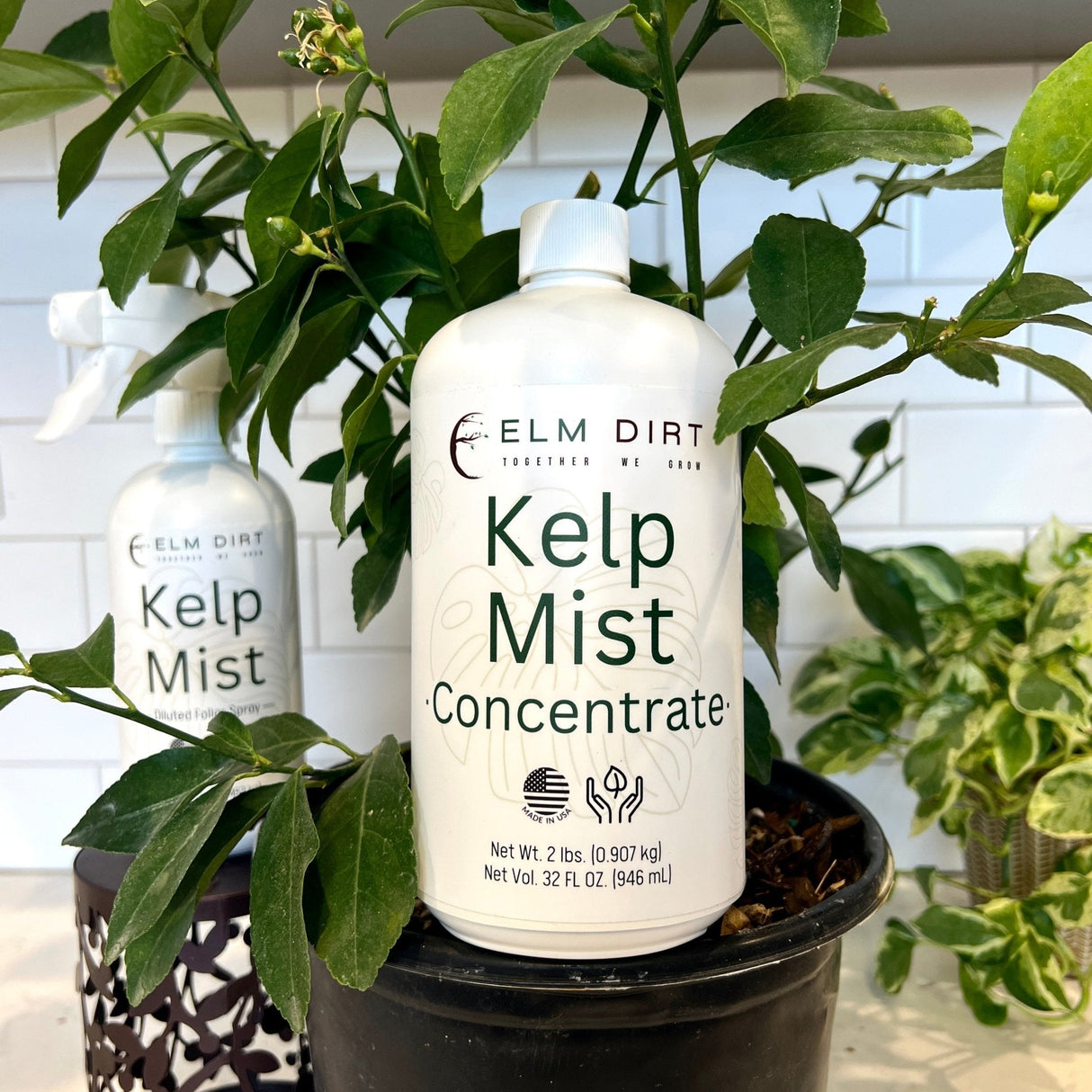 Kelp Mist - Organic Foliar Spray Seaweed Fertilizer
