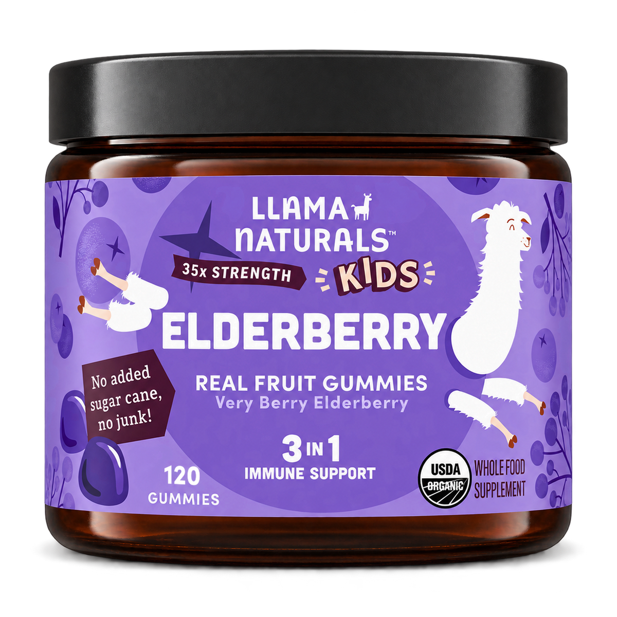 Kids Elderberry Immunity Gummies (120 ct)