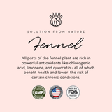 Breastfeeding Bundle - Breastfeeding Tea + Lactation Support